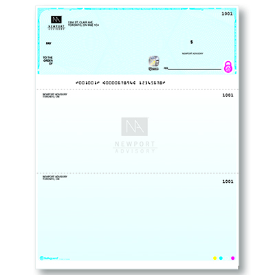 High Security cheques image